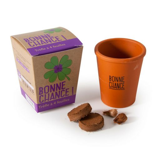 Radis-et-capucine - des-plantes-amusantes-à-faire-pousser