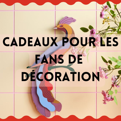Odoo • Image et Texte