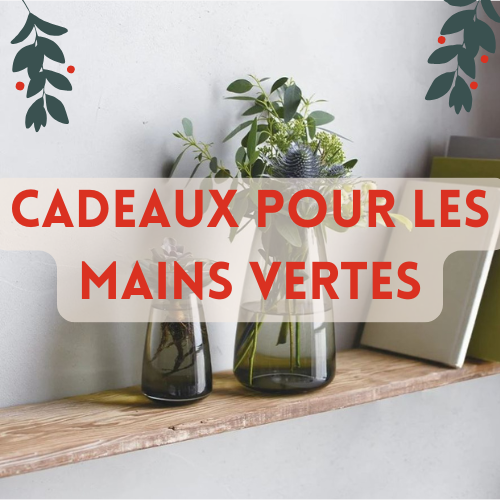 Odoo • Image et Texte