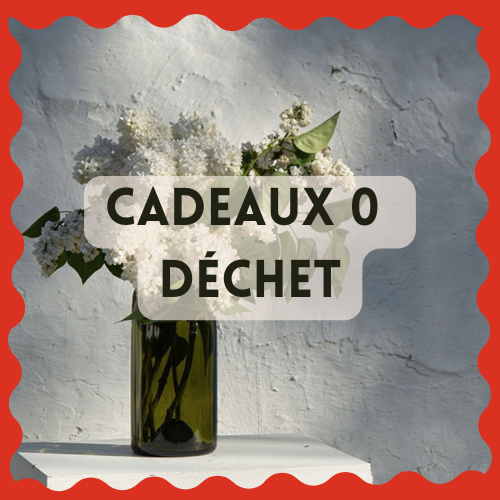 Odoo • Image et Texte