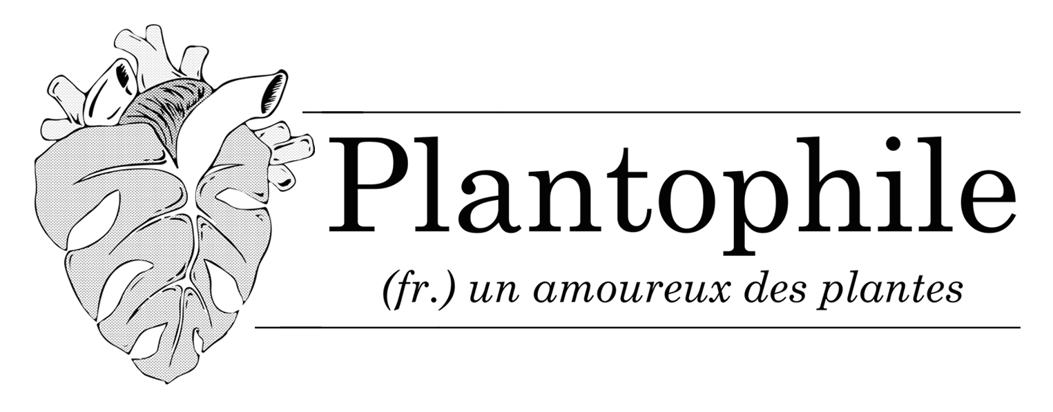 Plantophile