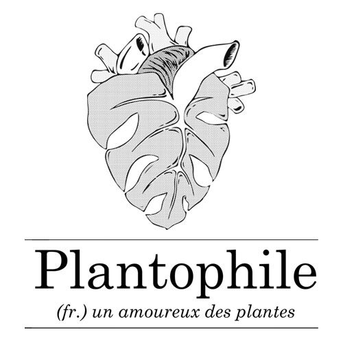 Plantophile - page fournisseurs - el MARKET