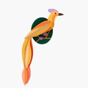 Studio Roof | Paradise Bird - Olango