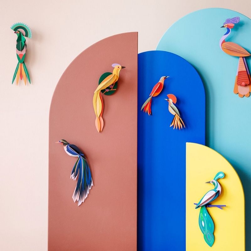 Studio Roof | Paradise Bird - Olango