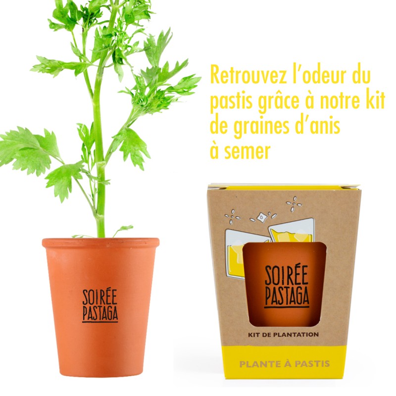 Radis et Capucine | Kit message - Anis - Soirée Pastaga 