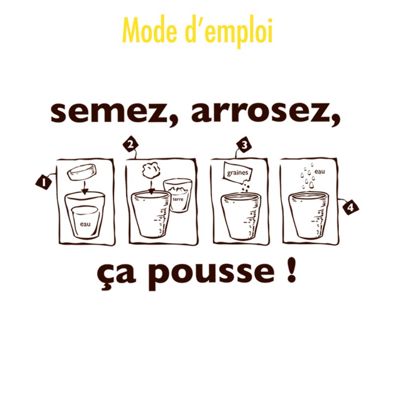 Radis et Capucine | Kit message - Anis - Soirée Pastaga 