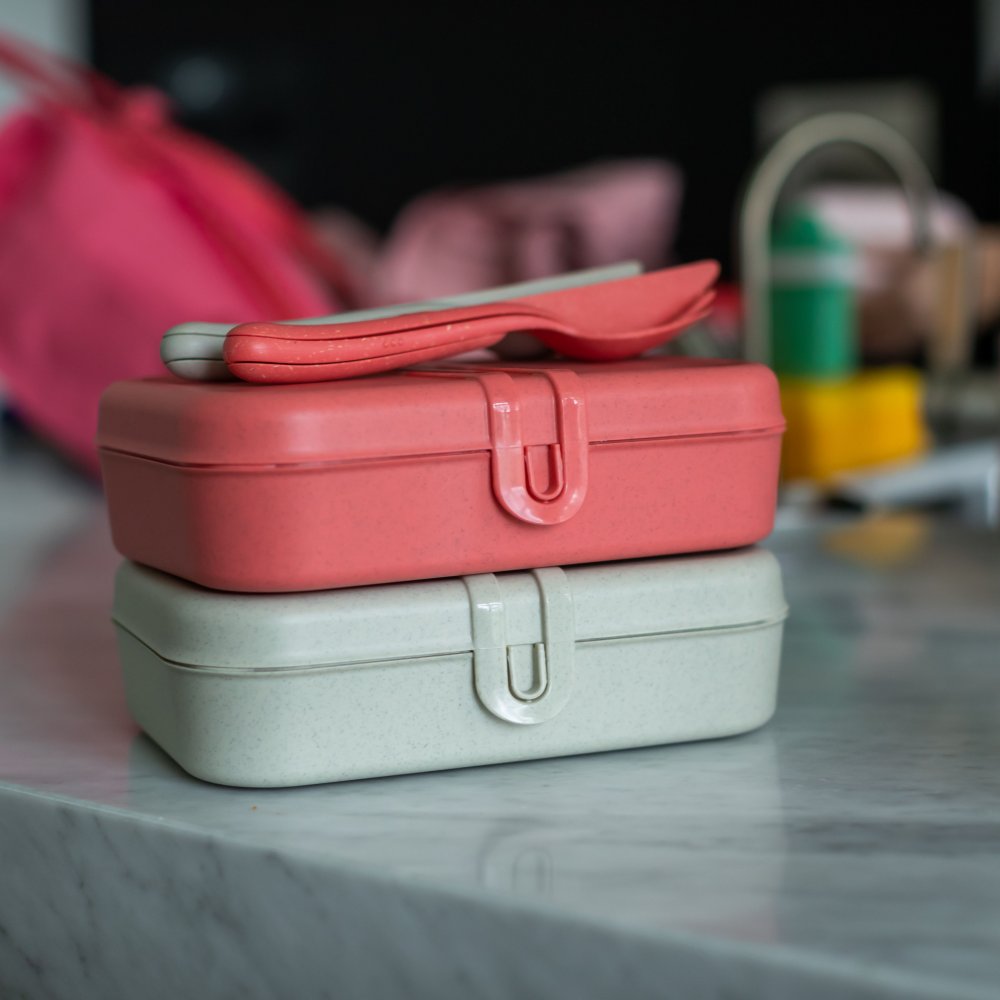 Koziol | Lunchbox Pascal - Nature coral