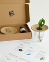 Pepin | Coffret de Germination