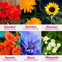 ReseTea | Flower Power - kit de plantation