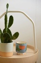 DESIGNWORKS COLLECTIVE | Bougie Adopo céramique - Cactus Flower Boxed