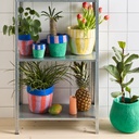 Aveva Design | Flower Pot 16L- Pink