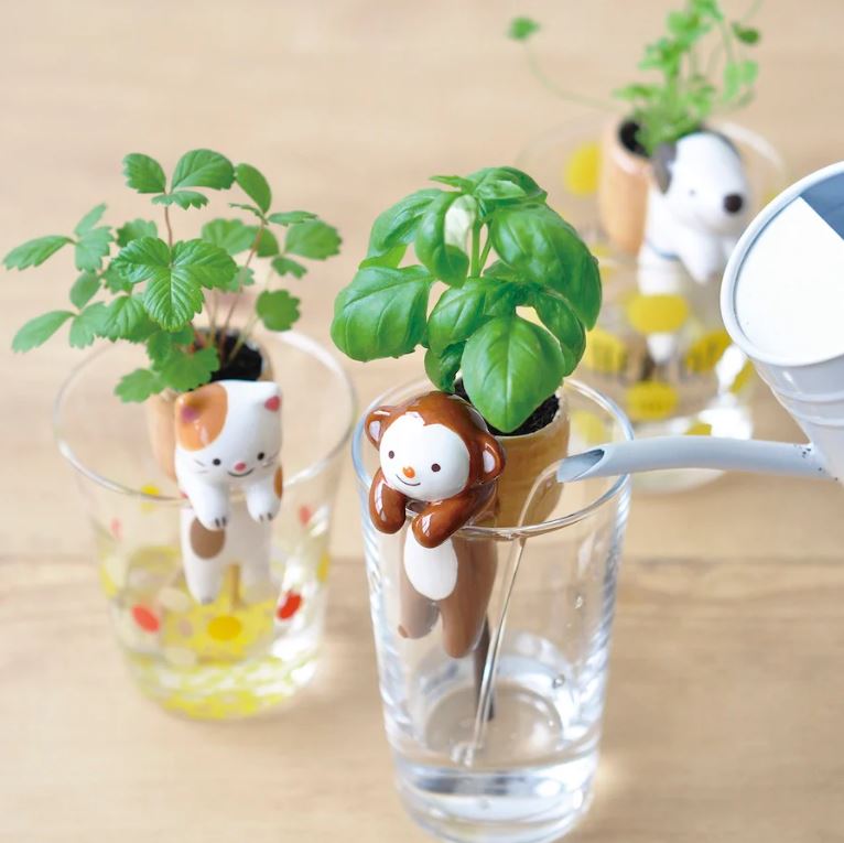 NOTED | Chuppon -  Cat (Fraise des Bois)