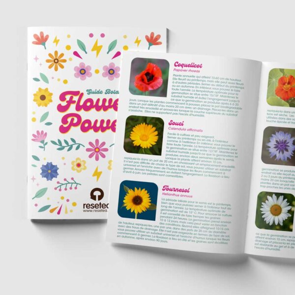 ReseTea | Flower Power - kit de plantation