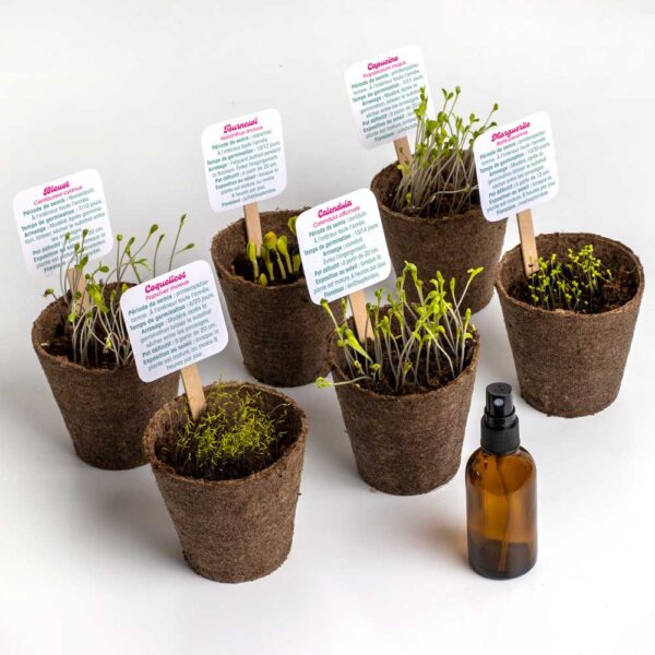 ReseTea | Flower Power - kit de plantation