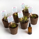 ReseTea | Flower Power - kit de plantation