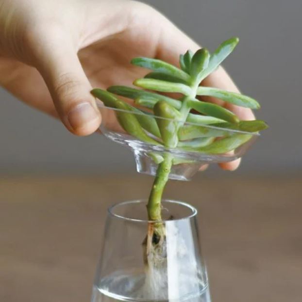 Kinto | Grand Vase d'aqua culture - Transparent