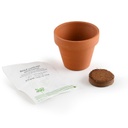 Radis et Capucine || Mini kit jardinage basilic