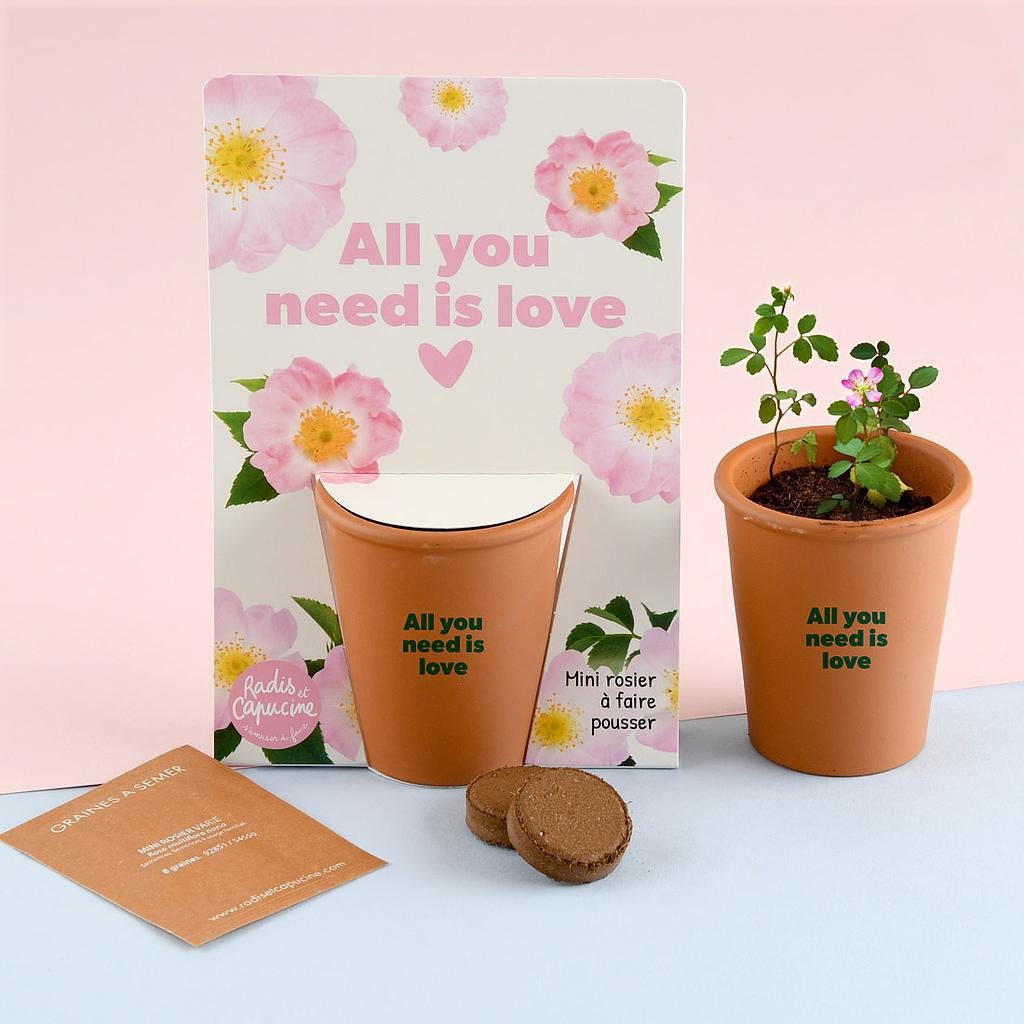 Radis et capucine || Kit jardinage "All you need is love" - Rosier