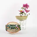 PEPIN_SHOOT_SEPT2025-14.webp