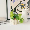 DSCF3180.webp