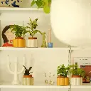 1DSCF2470_1.webp