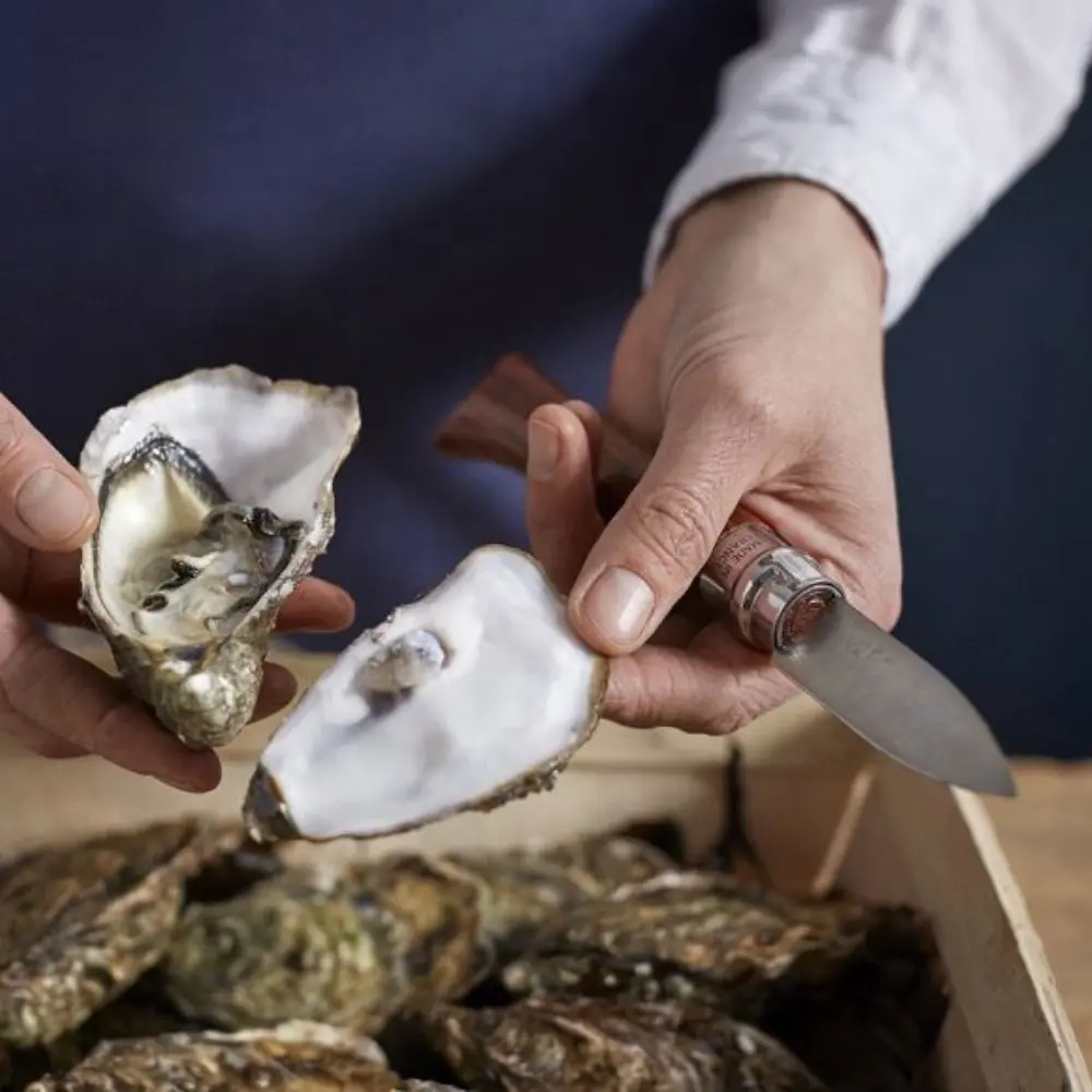 [OPI-0016165] Opinel _ Couteau à Huîtres N°9 Padouk.webp