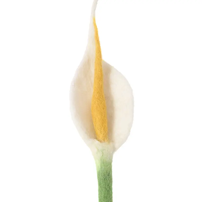 2685-1_grande.webp
