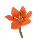 2691-1_grande.webp