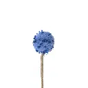 2571_dupbs2z61_grande.webp