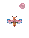 honey-bee-ornament-lucky-charm-website-product-picture-nobg-1708087919.webp