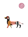 daschund-ornament-lucky-charm-website-product-picture-nobg-1707483953.webp