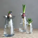 aquaculture_16ss_i_008-v1615794459881.webp