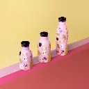 isothermische-drinkfles-meow-friends-330-ml-24bottles-in-den-olifant-7949631.webp