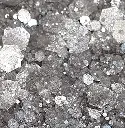 vignettemetallodisco.webp