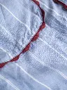 62253_5.webp