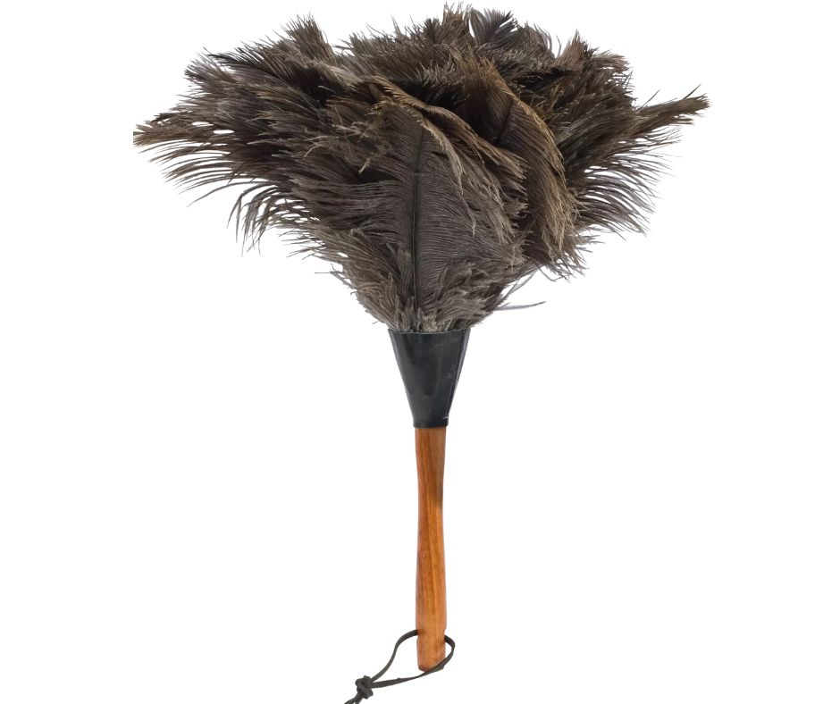 Bürstenhaus Redecker || Plumeau autruche manche en hêtre 35 cm – Naturel