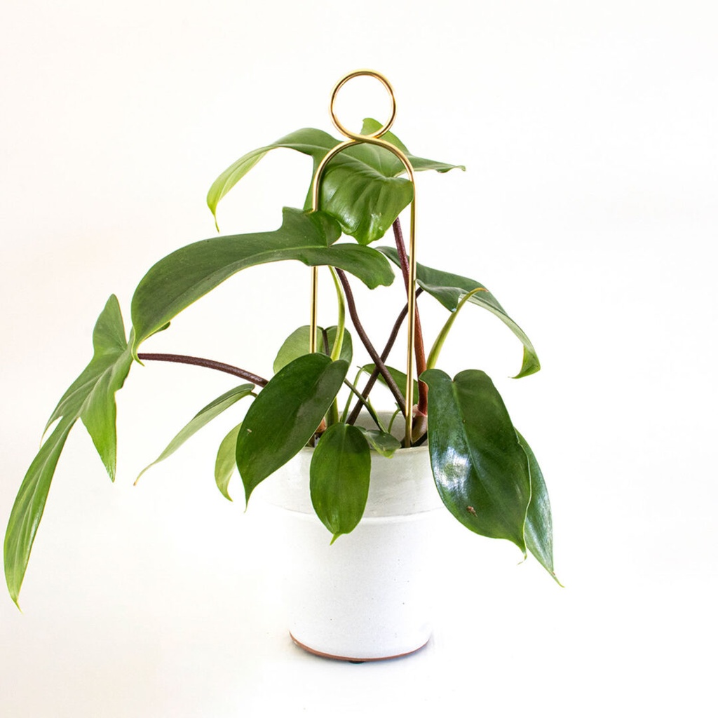 BOTANOPIA || Mini tuteur métal inoxydable Pompom – Doré