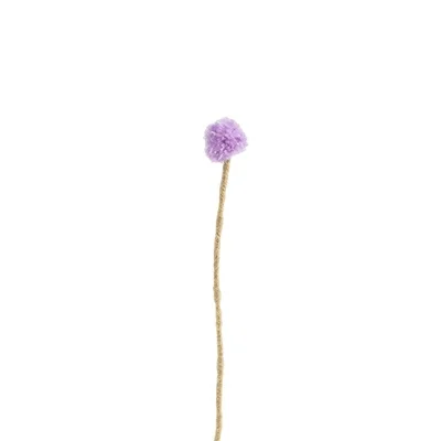 AVEVA DESIGN || Fleur En Laine Éternelle – Chardon Canada 