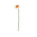 AVEVA DESIGN || Fleur En Laine Éternelle – Narcissus White 