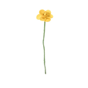 AVEVA DESIGN || Fleur En Laine Éternelle – Jonquille Yellow 