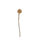 AVEVA DESIGN || Fleur En Laine Éternelle – Chardon Golden 