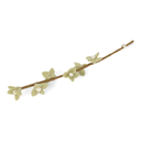 [GRY-10334] GRY &amp; SIF |  Fleurs en laine bouillie sur tige - Vert menthe