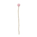 AVEVA DESIGN || Fleur En Laine Éternelle – Chardon Blush