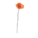 AVEVA DESIGN || Fleur En Laine Éternelle – Coquelicot Orange