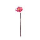 AVEVA DESIGN || Fleur En Laine Éternelle – Dahlia Berry