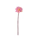 AVEVA DESIGN || Fleur En Laine Éternelle – Dahlia Pink 