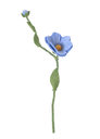 AVEVA DESIGN || Fleur En Laine Éternelle – Rose Sauvage Blue