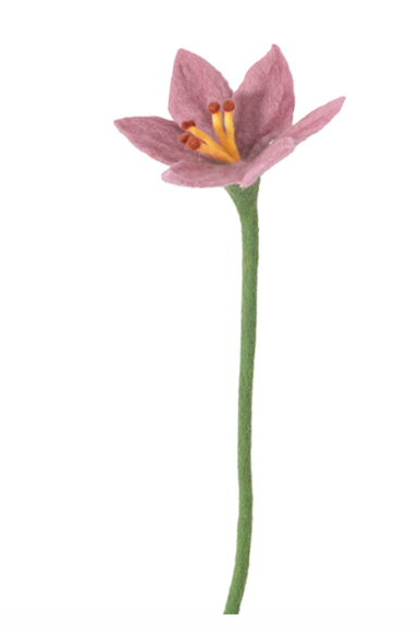 AVEVA DESIGN || Fleur En Laine Éternelle – Lily Pale Pink 