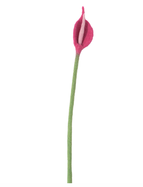AVEVA DESIGN || Fleur En Laine Éternelle – Flamingo Fuchsia 