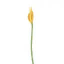 AVEVA DESIGN || Fleur En Laine Éternelle – Flamingo Yellow